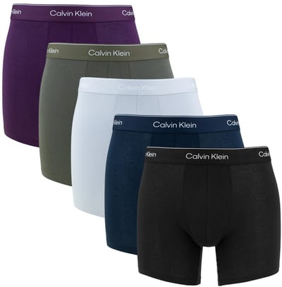 Calvin Klein Icon Cotton Stretch Brief Boxershorts Heren (5-pack)