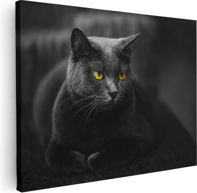 Artaza Canvas Schilderij Kat - 40x30 cm - Klein - Wanddecoratie Dierenkop - Muurdecoratie Woonkamer - Kamer Accessoires