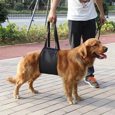 4 Tailles Noir Harnais de Soutien et d'Assistance pour Chien avec Poignée pour Canidés Aide à la Réhabilitation S black