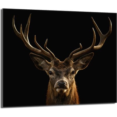 TMK ArtDeko - Snijplank - Glazen Beschermplaat - 60x52 cm - Hert - Hittebestendig