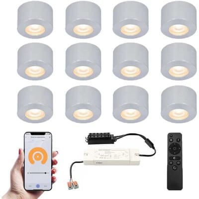 HOFTRONIC Set van 12 Navarra Smart LED Mini opbouwspots - Veranda spots - 12V 3W 200lm - Dimbaar - Wifi & Bluetooth - 2700K - IP44 waterdicht - RVS