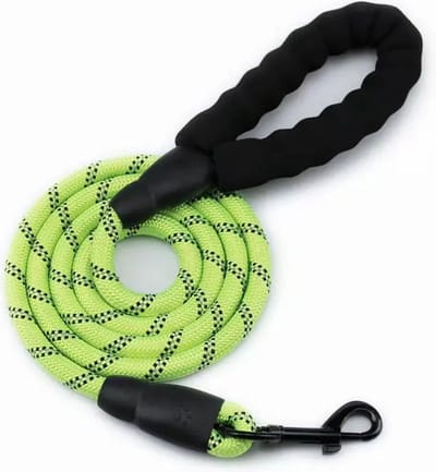 Repus - Reflecterende Hondenlijn - Hondenriem - Lijnen - Nylon - 150CM - Groen