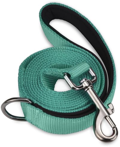 Dailygoods - AUDWUD Hondenriem met zacht gevoerd handvat, verlicht handdruk; Draagbaar, sterk, sterk met grote treksterkte, geschikt voor kleine en middelgrote hondenwandelriem