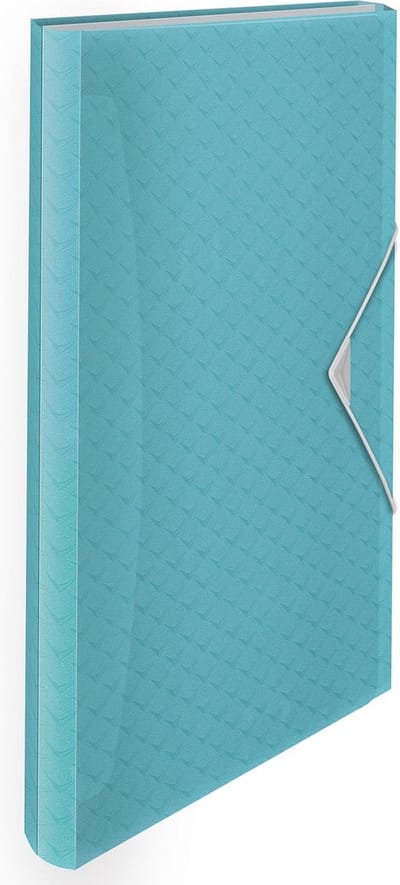 Organiser Map Esselte Colour Ice Blauw (33 x 26 x 25 cm)