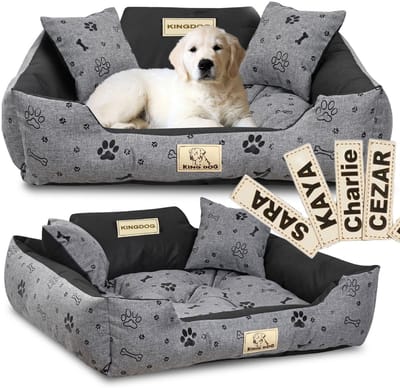 AIO Factory King Dog - Hondenbed - 75x65 cm - Waterdicht - Personaliseerbaar