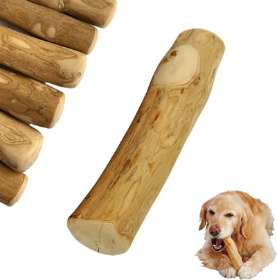 Honden kauwstaaf - Hout bijtring - Tandverzorging hond - Natuurlijk koffiehout - Maat M - Bruin