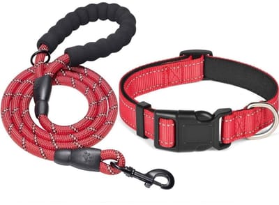 Dailygoods- Hondenhalsband Reflecterend - Verstelbare Halsband - Duurzame Nylon Riem - Hondenriem voor Middelgrote/Grote Honden - Robuust en Comfortabel - Sterk Klimtouw - Hondentuig