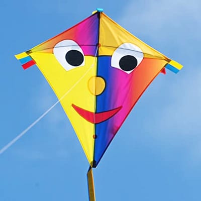 Kindervlieger voor kinderen - Enkele vlieger met strikstaart en 80 m vliegerkoord
