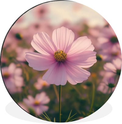 WallCircle - Wandcirkel - Muurcirkel - Bloemen - Paars - Wazig - Aluminium - Dibond - 30x30 cm - Binnen en Buiten