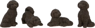 Set van 4 decoratieve figuren - hond cockapoo