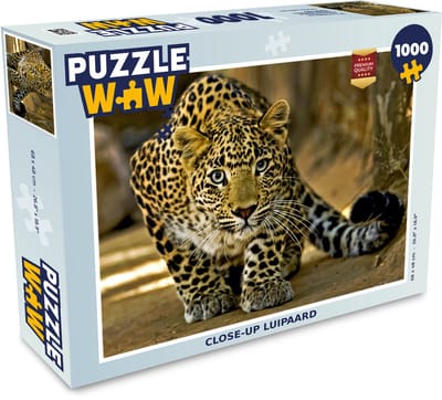 Puzzel Luipaard - Roofdier - Portret - Legpuzzel - Puzzel 1000 stukjes volwassenen