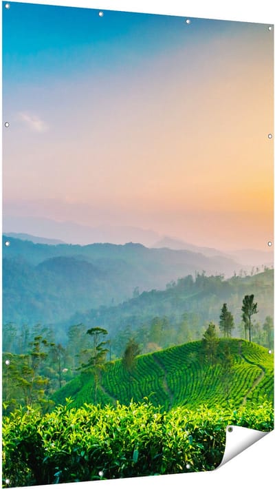 Gards Tuinposter Zonsondergang op een Thee Plantage - 120x180 cm - Tuindoek - Tuindecoratie - Wanddecoratie buiten - Tuinschilderij
