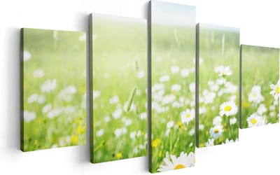 Artaza Canvas Schilderij Vijfluik Bloemenveld Van Madeliefjes - Bloemen - 100x50 - Foto Op Canvas - Canvas Print