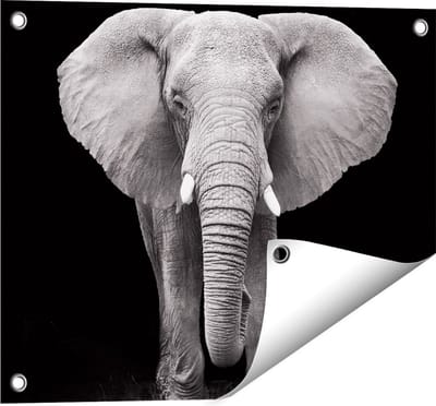 Gards Tuinposter Olifant - Zwart Wit - 50x40 cm - Tuindoek - Tuindecoratie - Wanddecoratie buiten - Tuinschilderij