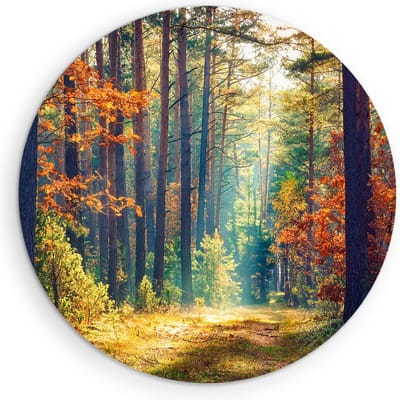 Saammp Muurcirkel Hout -Bos - Zonlicht - Herfst - Landschap - Natuur - Ø 90 - Wandcirkel - Wanddecoratie Cirkel - Muurdecoratie Woonkamer - Slaapkamer decoratie - Rond Schilderij