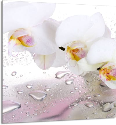 TMK ArtDeko - Glazen Keukenpaneel - 60x65 cm - Orchidee - Veilige en Hygiënische Bescherming