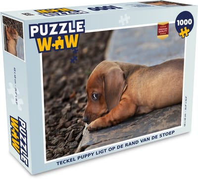 Puzzel Teckel puppy ligt op de rand van de stoep - Legpuzzel - Puzzel 1000 stukjes volwassenen