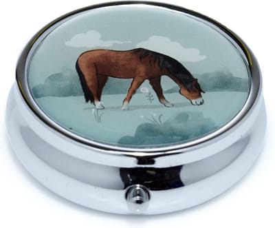 Pillendoosje boerderij paard