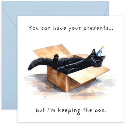 Verjaardagskaart Grappig - Zwarte Kat in Doos met Feesthoed - Cadeaus voor Hem/Haar - Voor Kattenliefhebbers - Schattige Grappen - Met Envelop - Wenskaart
