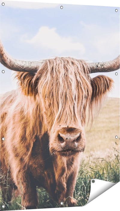 Gards Tuinposter Schotse Hooglander Koe in de Wei - 80x120 cm - Tuindoek - Tuindecoratie - Wanddecoratie buiten - Tuinschilderij