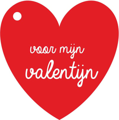 Bloemenkaartje Valentijn - Cadeaukaartjes - 20 Stuks - Voor Mijn Valentijn - Rood - Hart vorm - 7x7cm
