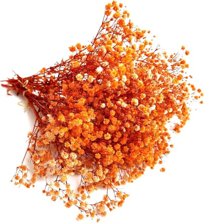 Gedroogde bloemen - Droogbloemen - Knutselen en decoreren - Natuurlijk en lang houdbaar - 5 stuks - Oranje