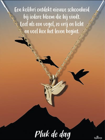 Bixorp Luck Cadeau Ketting met Kolibri - 18k Verguld Goud Stainless Steel - Cadeau voor succes / geluk / afscheid - Pluk de dag