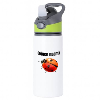 Hacebo® - lieveheersbeestje met eigen naam waterfles met rietje groen - Lieveheersbeestje - lieveheersbeestje liefhebbers - iemand die houdt van lieveheersbeestjes - verjaardag - cadeau - kado - water fles - 650ML