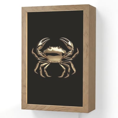 Wandlamp 20x30 cm - Oplaadbaar - Goud - Krab - Dieren - Zwart - Wandlampen binnen woonkamer - Slaapkamer lamp met kabel - Decoratieve nachtlamp - Vloerlamp snoer
