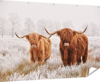 Gards Tuinposter Twee Schotse Hooglander Koeien in de Wei - 180x120 cm - Tuindoek - Tuindecoratie - Wanddecoratie buiten - Tuinschilderij