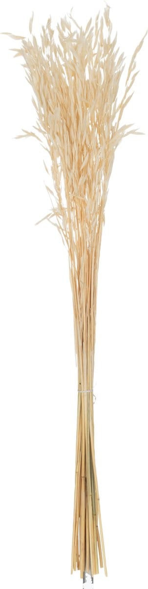 J-Line droogbloemen - bundel gedroogde Haver - riet - ecru