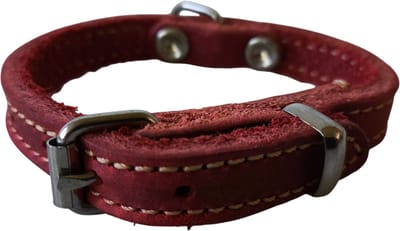 JACK AND VANILLA Halsband - Gevet Leder - Rood - Breedte: 1 cm - Nekomtrek: 17 - 20 cm (GELIEVE ALVORENS BESTELLEN OPMETEN)
