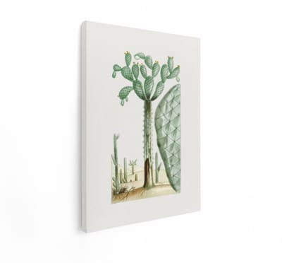 Artaza Canvas Schilderij Cactus - 60x80 cm - Wanddecoratie Boho - Muurdecoratie Botanische Illustratie - Decoratie Woestijn Vintage