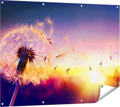 Gards Tuinposter Paardenbloem tijdens Zonsondergang - 120x90 cm - Tuindoek - Tuindecoratie - Wanddecoratie buiten - Tuinschilderij