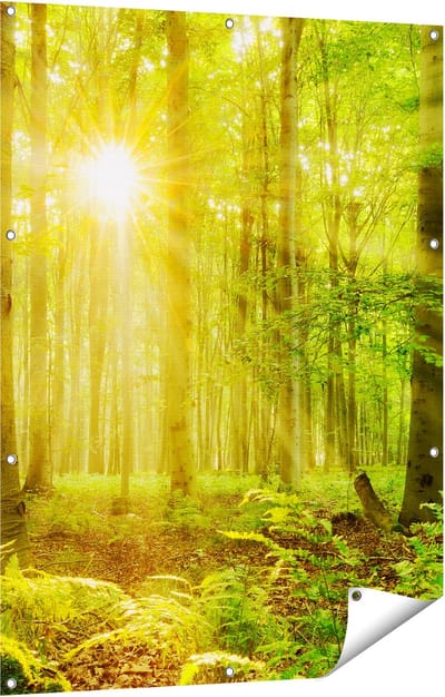 Gards Tuinposter Groen Bos met Schijnende Zonnestralen - 90x120 cm - Tuindoek - Tuindecoratie - Wanddecoratie buiten - Tuinschilderij