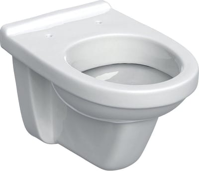 Geberit 300 Basic hangtoilet – vlakspoel – diepte 53 cm – glans wit