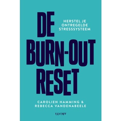 De Burn-Out Reset - Carolien Hamming