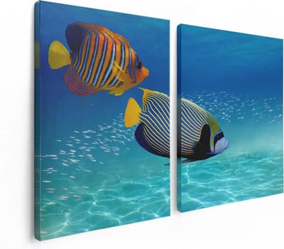 Artaza Canvas Schilderij Tweeluik Twee Tropische Vissen in de Rode Zee - 120x80 - Foto Op Canvas - Canvas Print