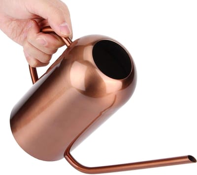Roestvrij Staal Gieter - Waterkan Strooi Pot - Planten Water Geven - Lange Tuit Ontwerp - 15 Liter Capaciteit