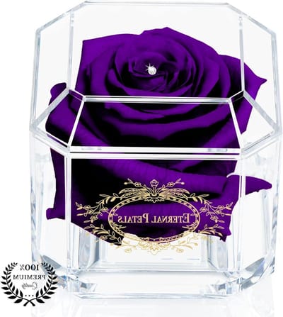 Eeuwige Roos - Behandelde Roos Infinity Roos - Cadeau Geven - Echte Roos Jarenlang Mooi - 8x8x8 cm - Paars