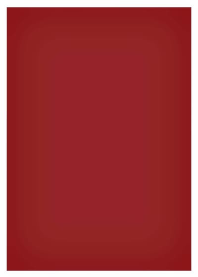 Magneetvel maul 200x300mm rood | 50 stuks