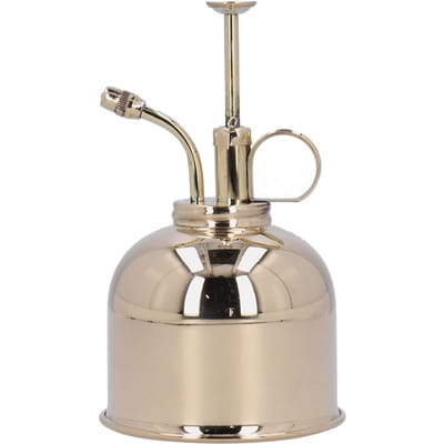 Arrosoir Vaporisateur Vintage pour Plantes 300ml Bouteille de Pulvérisation en Laiton pour Jardin Balcon beige