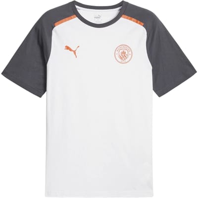 Puma Heren Manchester City FC T-Shirt (Poema Wit)