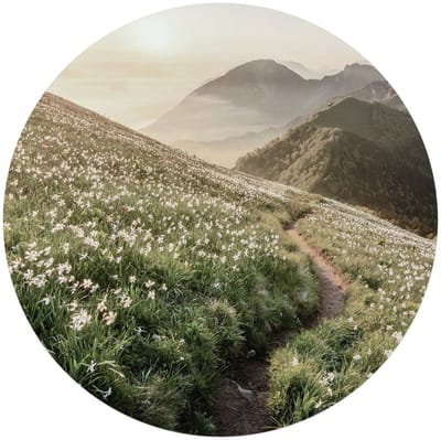 Glasschilderij Bergbloei in de ochtendzon - Ø 70 - Glas - REINDERS