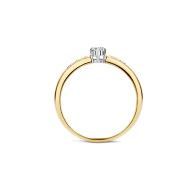 Blush Ring 1625BDI/54 14k Geelgoud 0,12crt G SI Briljant geslepen Diamant Maat 54