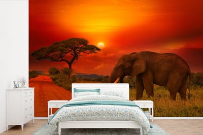 Behang - Fotobehang Olifant - Zonsondergang - Oranje - Savanne - Dieren - Breedte 450 cm x hoogte 300 cm