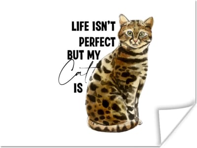 Poster Spreuken - Quotes - Life isn't perfect but my cat is - Poes - 160x120 cm XXL