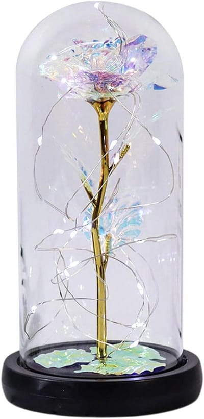 Eeuwige Roos - Gedroogde Bloem - Decoratie Huis - Transformatieve Kleuren - Terrarium - Regenboog