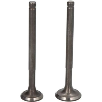 Ventiel en ventielplaat INPARTS IP000410