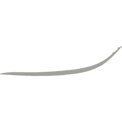 Sierlijst/beschermstrip, bumper BLIC 5703-05-3528926P rechts
